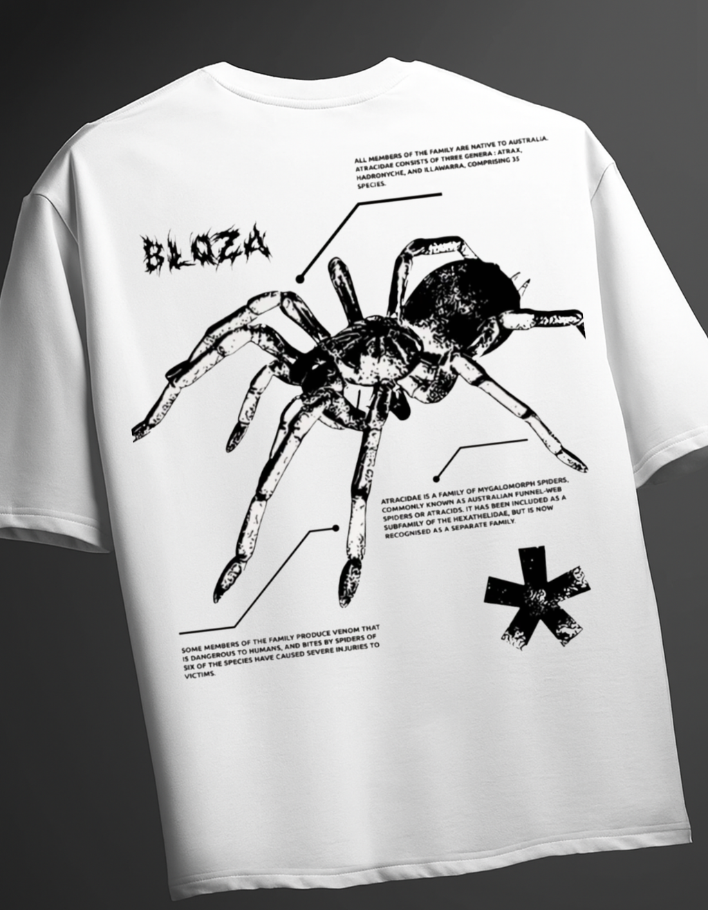 Spider  Oversized T-Shirt