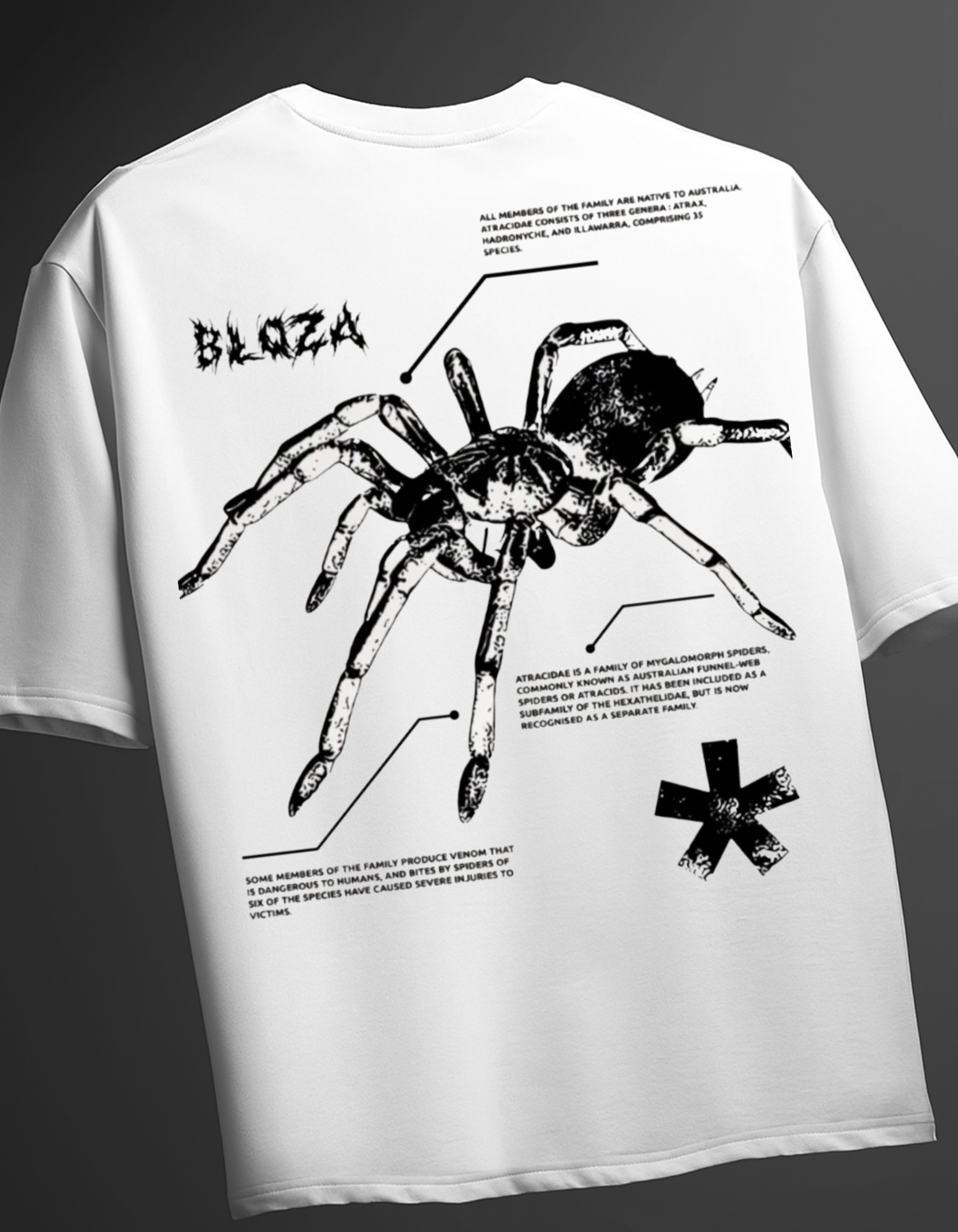 Spider  Oversized T-Shirt